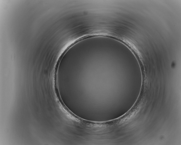 X0000095540941200712211344