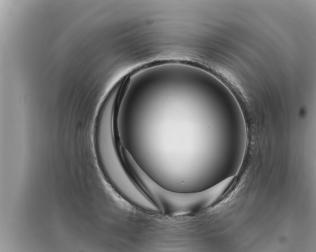 X0000095540942200712211344