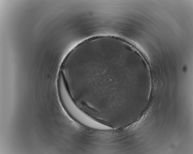 X0000095540943200712211344