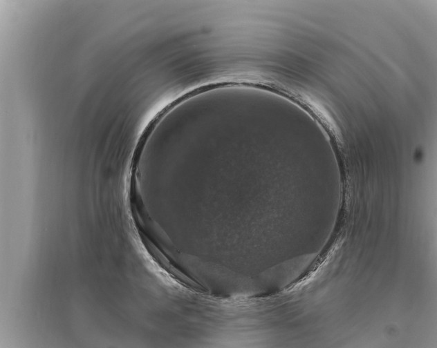 X0000095540944200712211344