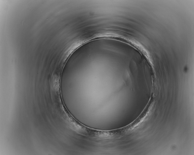 X0000095540945200712211344