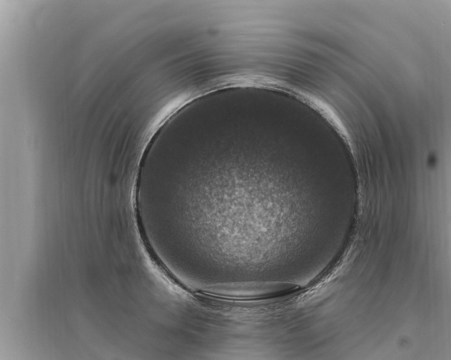 X0000095540946200712211344