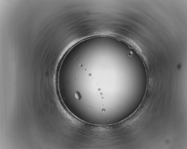 X0000095540947200712211344