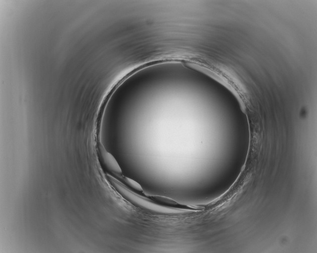 X0000095540948200712211344