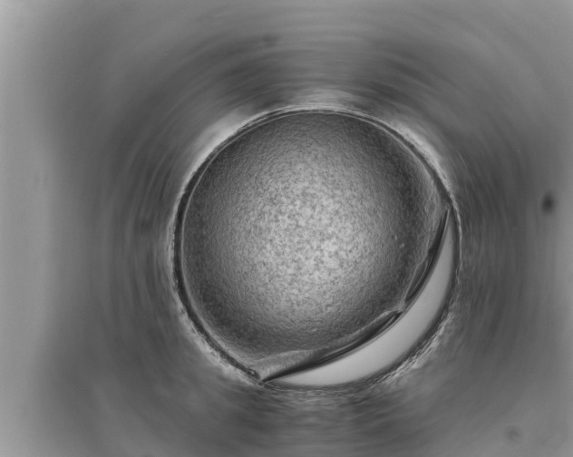 X0000095540949200712211344