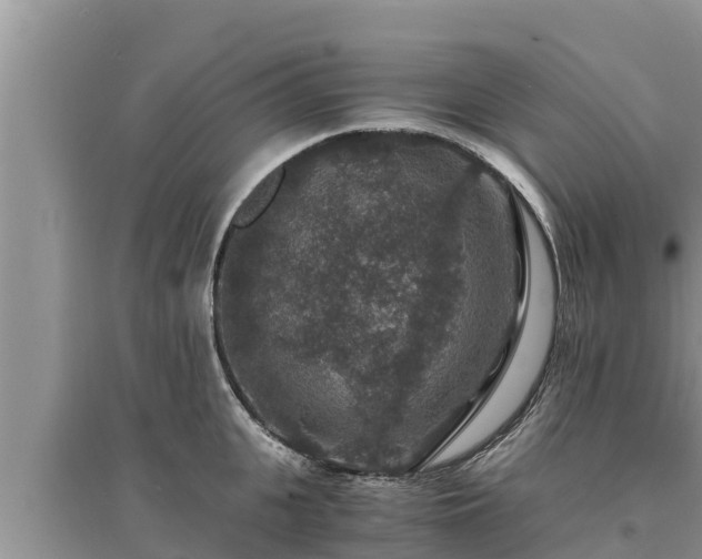 X0000095540951200712211344