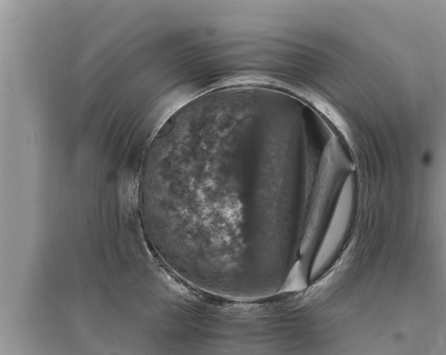 X0000095540953200712211344