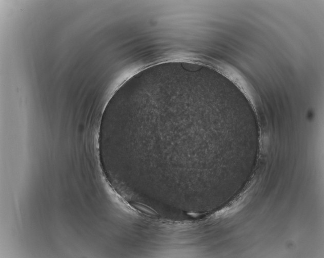 X0000095540954200712211344