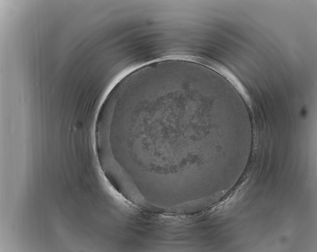 X0000095540955200712211344