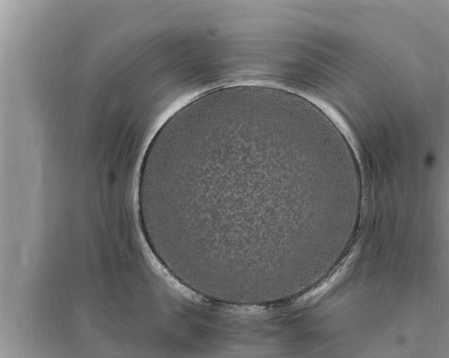 X0000095540957200712211344