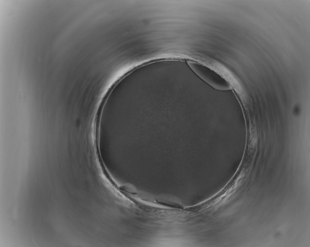 X0000095540958200712211344