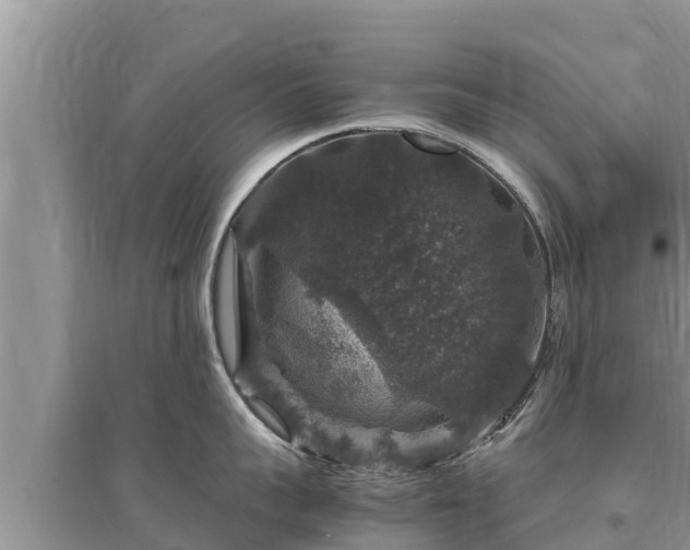 X0000095540959200712211344