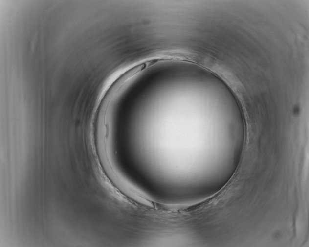 X0000095540960200712211344