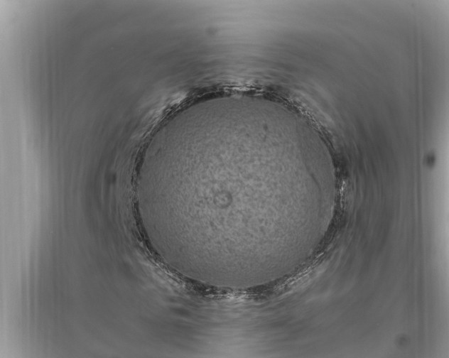 X0000095540961200712211344