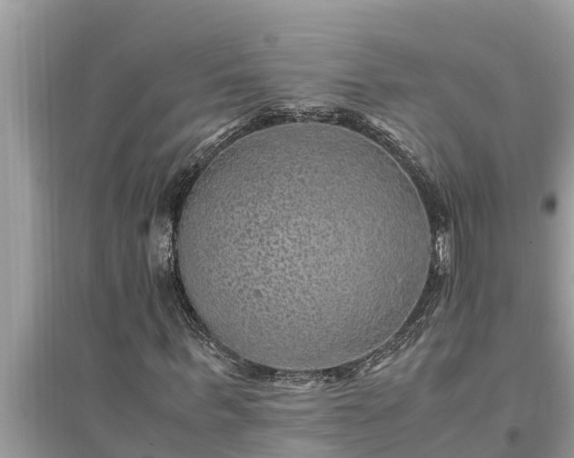 X0000095540963200712211344