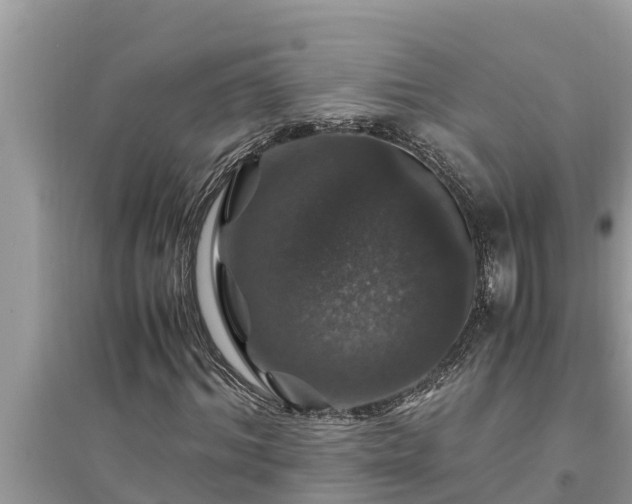 X0000095540964200712211344