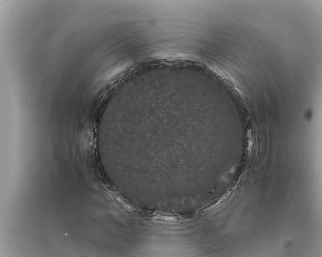 X0000095540966200712211344