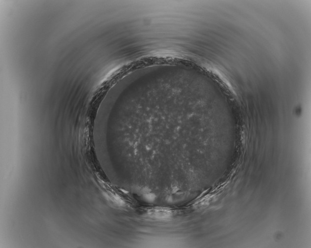 X0000095540968200712211344