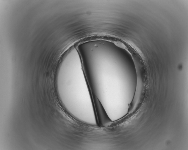 X0000095540969200712211344