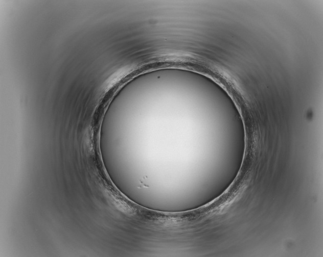 X0000095540970200712211344