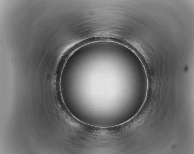 X0000095540971200712211344