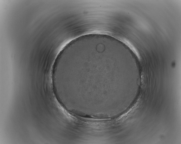 X0000095540972200712211344