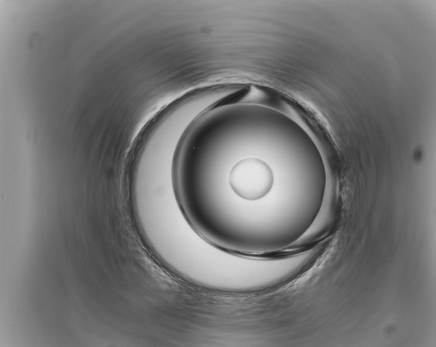 X0000095540973200712211344