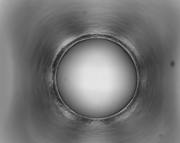 X0000095540974200712211344