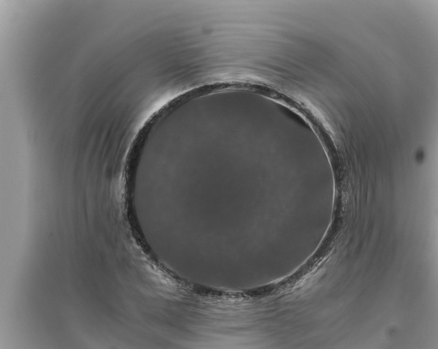 X0000095540975200712211344