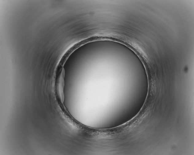 X0000095540976200712211344