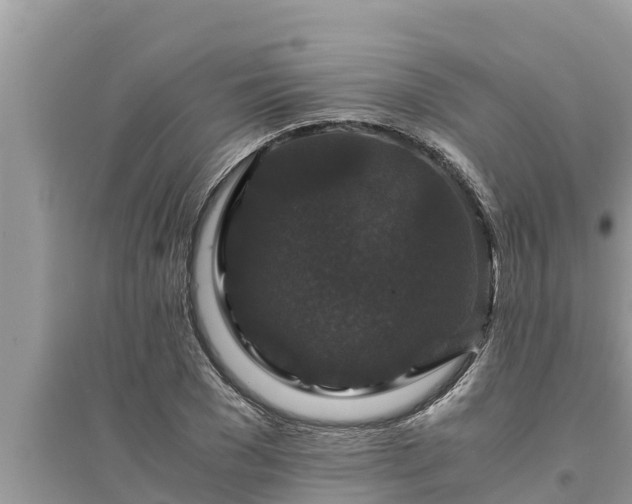 X0000095540977200712211344