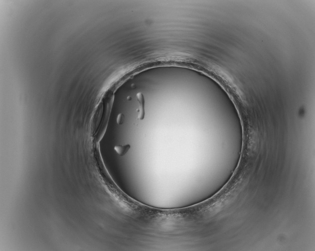 X0000095540978200712211344