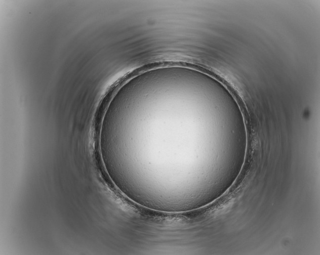 X0000095540979200712211344