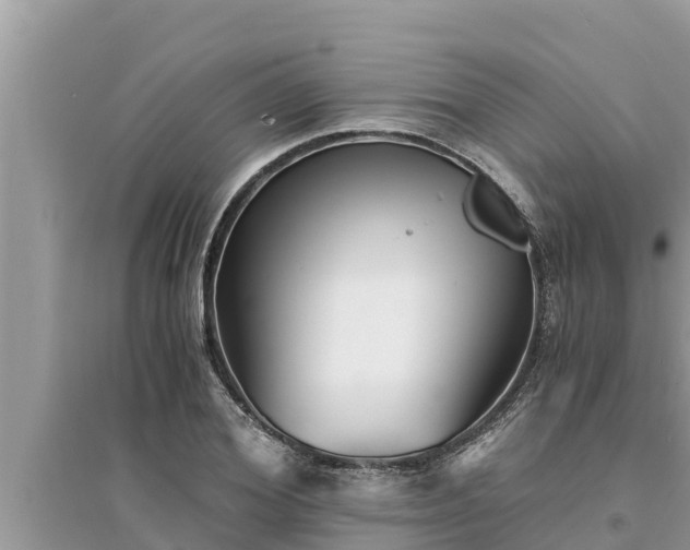 X0000095540980200712211344