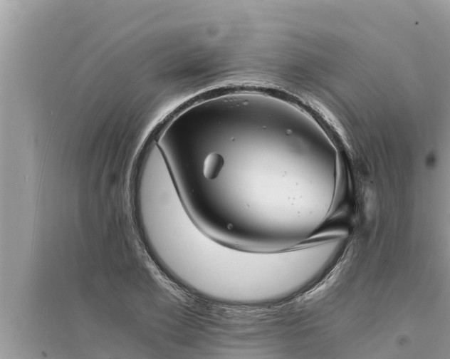 X0000095540981200712211344