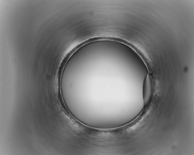 X0000095540982200712211343