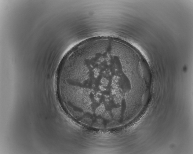 X0000095540983200712211343