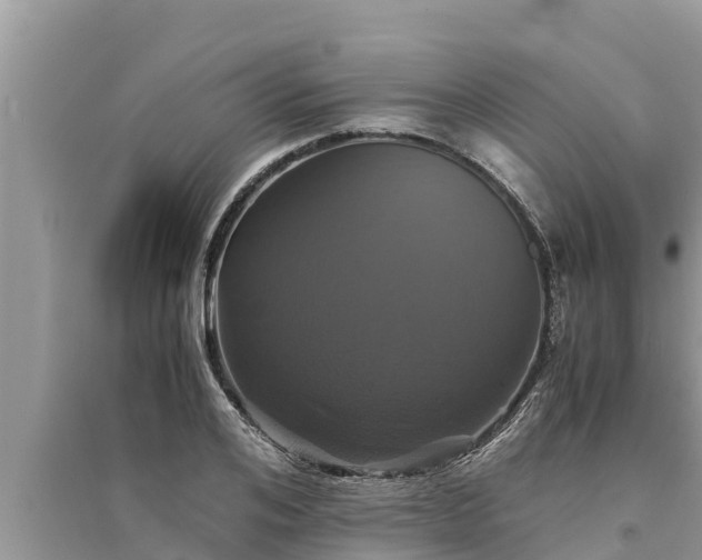 X0000095540984200712211343