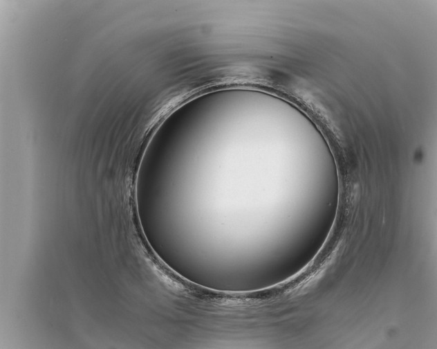 X0000095540985200712211343