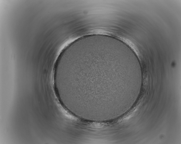 X0000095540987200712211343