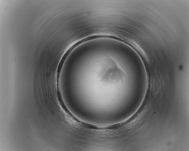 X0000095540988200712211343