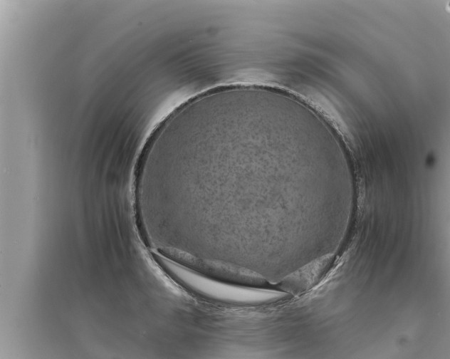 X0000095540990200712211343