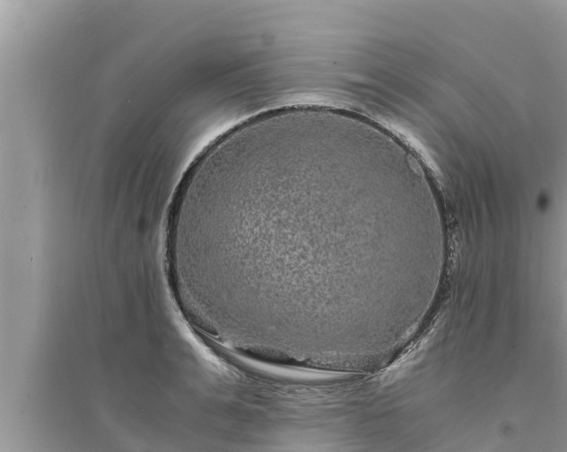 X0000095540991200712211343