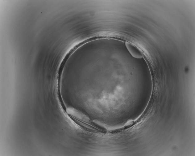 X0000095540992200712211343