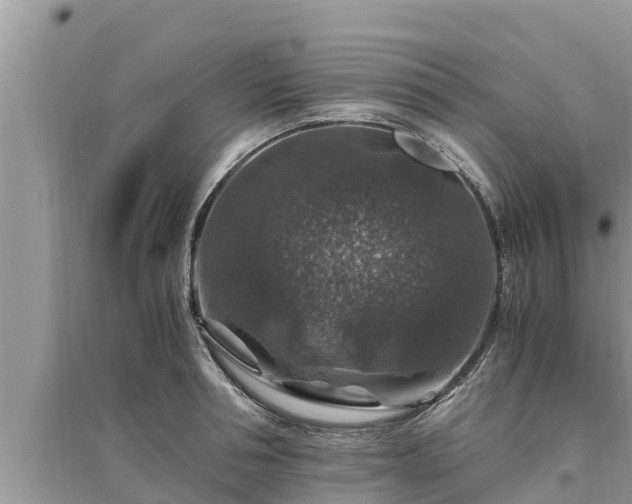 X0000095540994200712211343