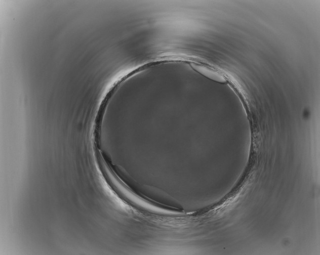 X0000095540995200712211343