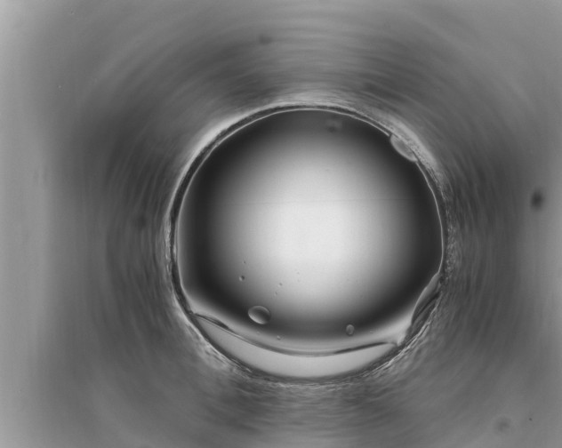 X0000095540996200712211343