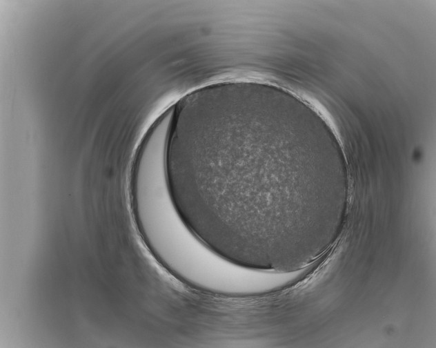 X0000095540997200712211343