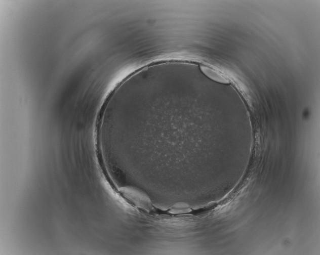 X0000095540998200712211343