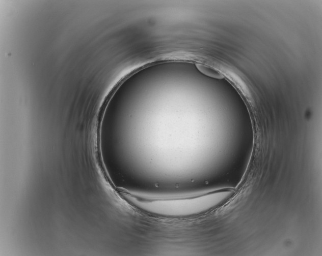 X0000095541000200712211343